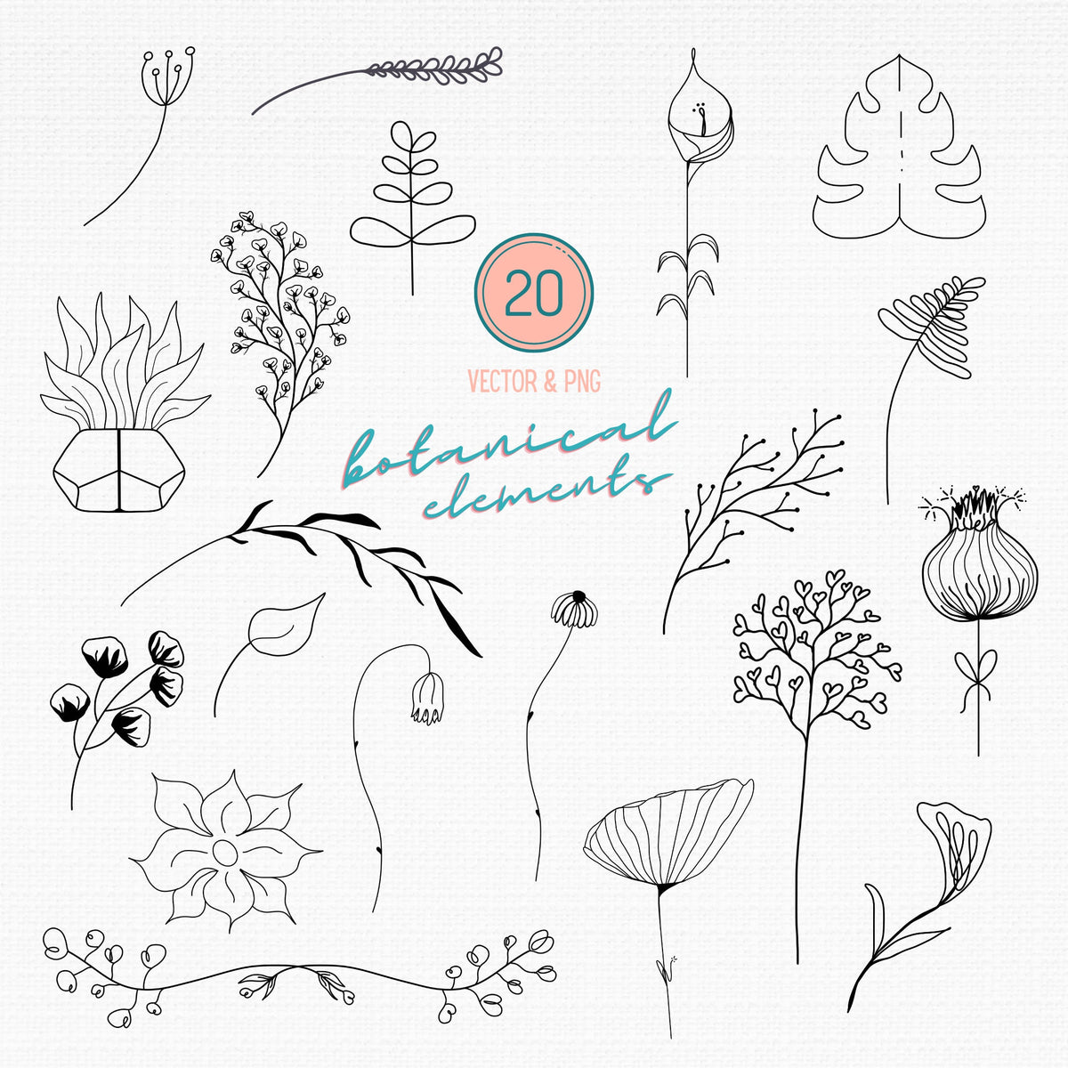 Botanical SVG Bundle, Flower & Plant Vector Art (Digital Download)