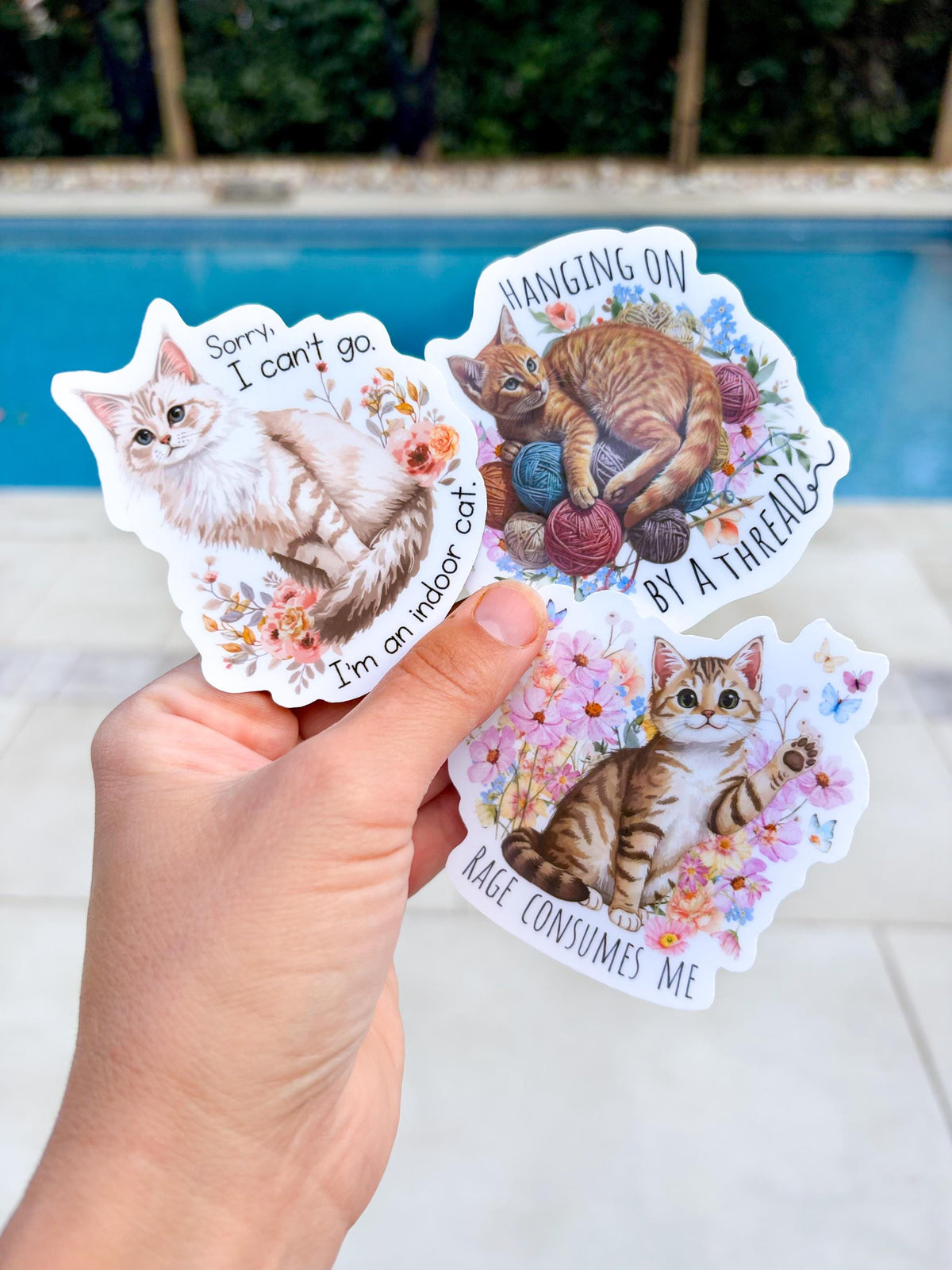 Cat Stickers snarky & witty - Indoor Cat animal stickers, Waterproof vinyl, smooth matte finish die cut decals (Set of 3) hanging on by a