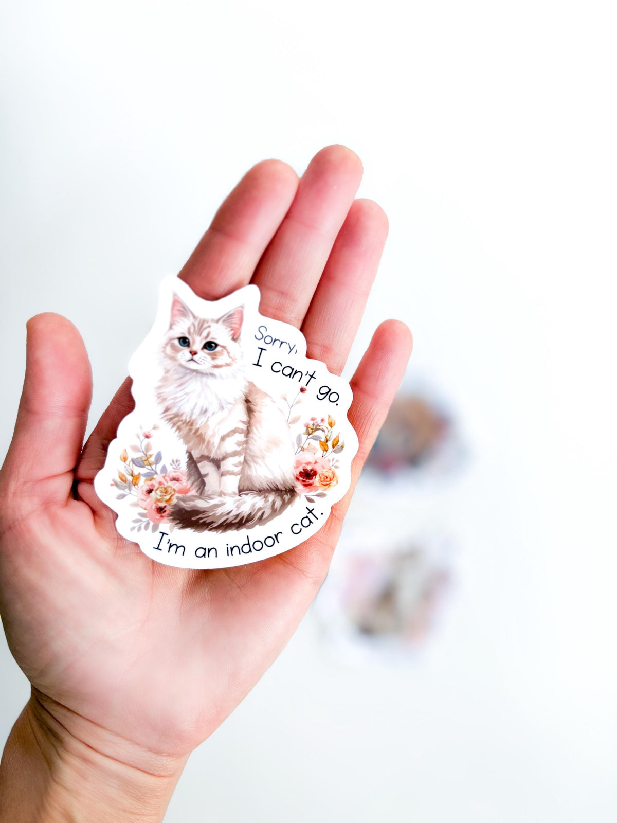 Cat Stickers snarky & witty  - Indoor Cat animal stickers, Waterproof vinyl, smooth matte finish die cut decals (Set of 3) hanging on by a