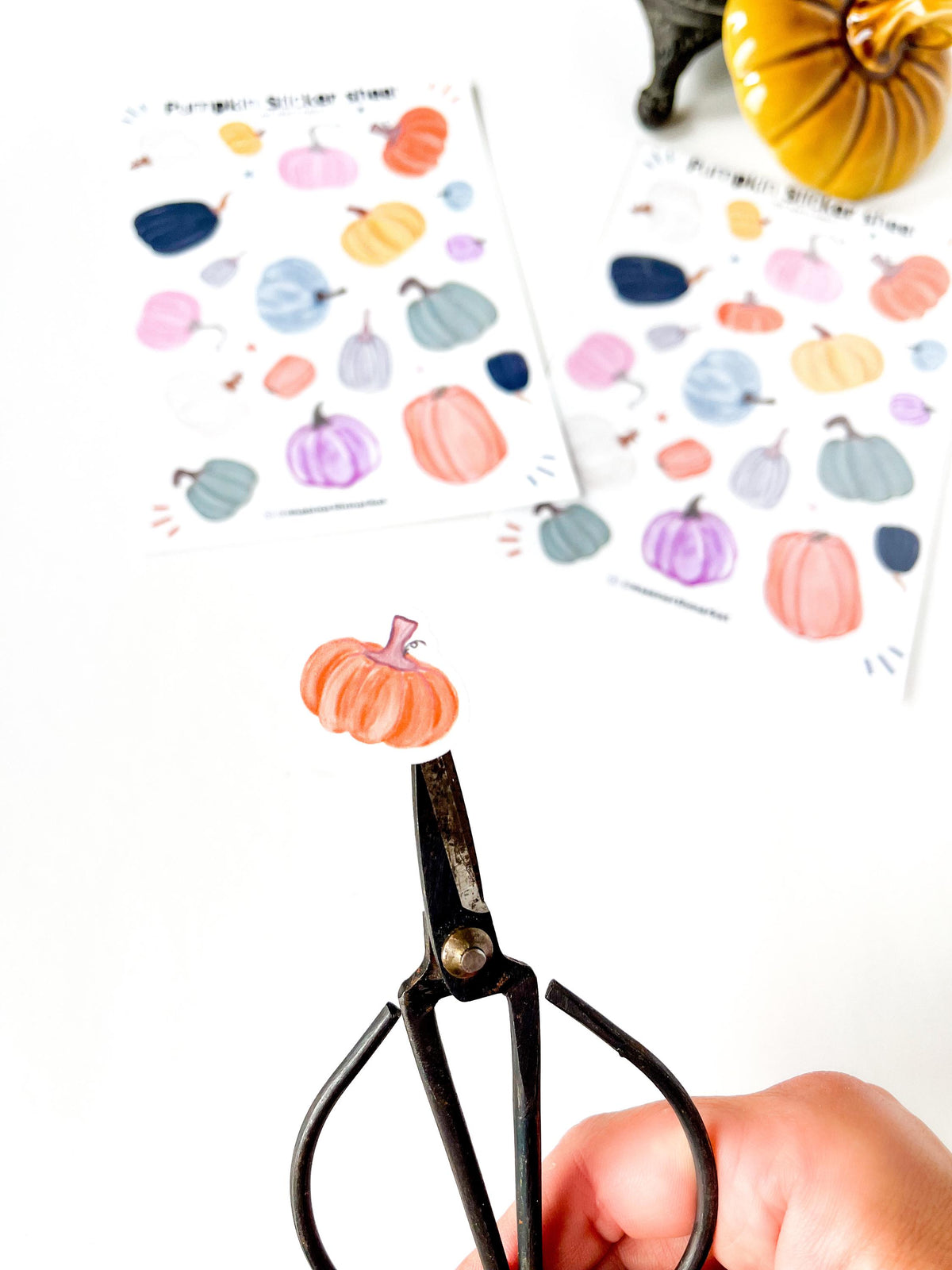 Fall Pumpkin Sticker Sheet: Vinyl Planner Stickers for kindle decor fall gifts fall asthetic pumpkin crafts for junk journal autumn stickers