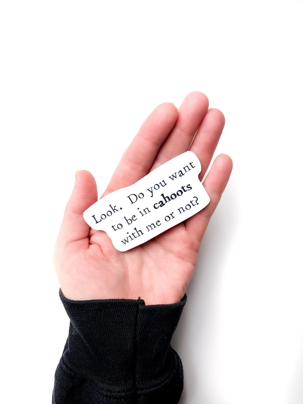 Cahoots Friend Sticker Funny – Quote bestfriend gift, waterbottle & laptop Vinyl Decal (1.75x3 Inch)