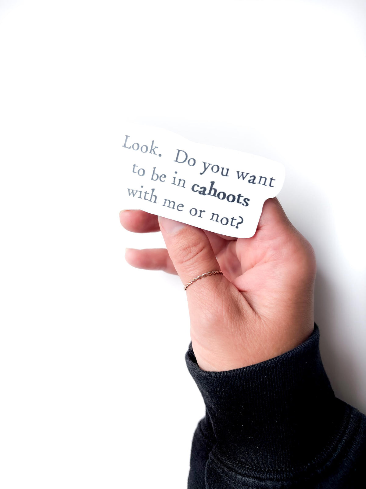 Cahoots Friend Sticker Funny – Quote bestfriend gift, waterbottle & laptop Vinyl Decal (1.75x3 Inch)