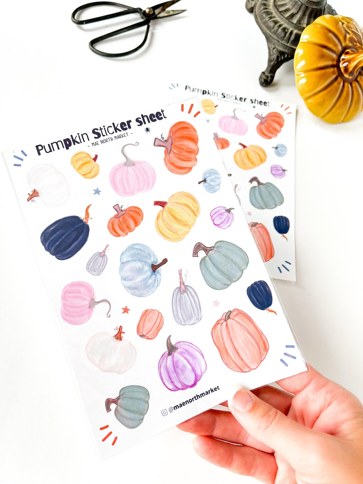 Fall Pumpkin Sticker Sheet: Vinyl Planner Stickers for kindle decor fall gifts fall asthetic pumpkin crafts for junk journal autumn stickers