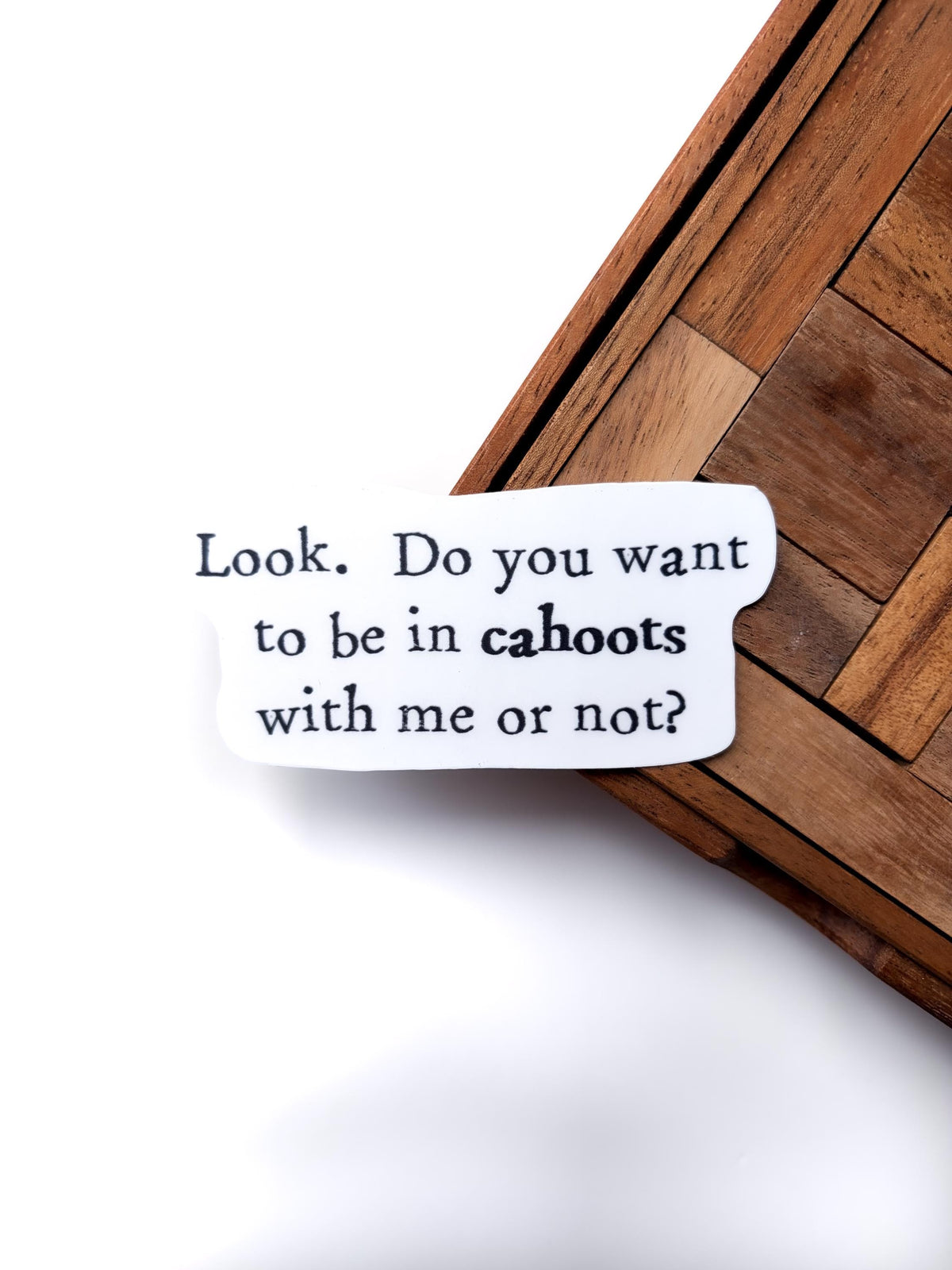 Cahoots Friend Sticker Funny – Quote bestfriend gift, waterbottle & laptop Vinyl Decal (1.75x3 Inch)