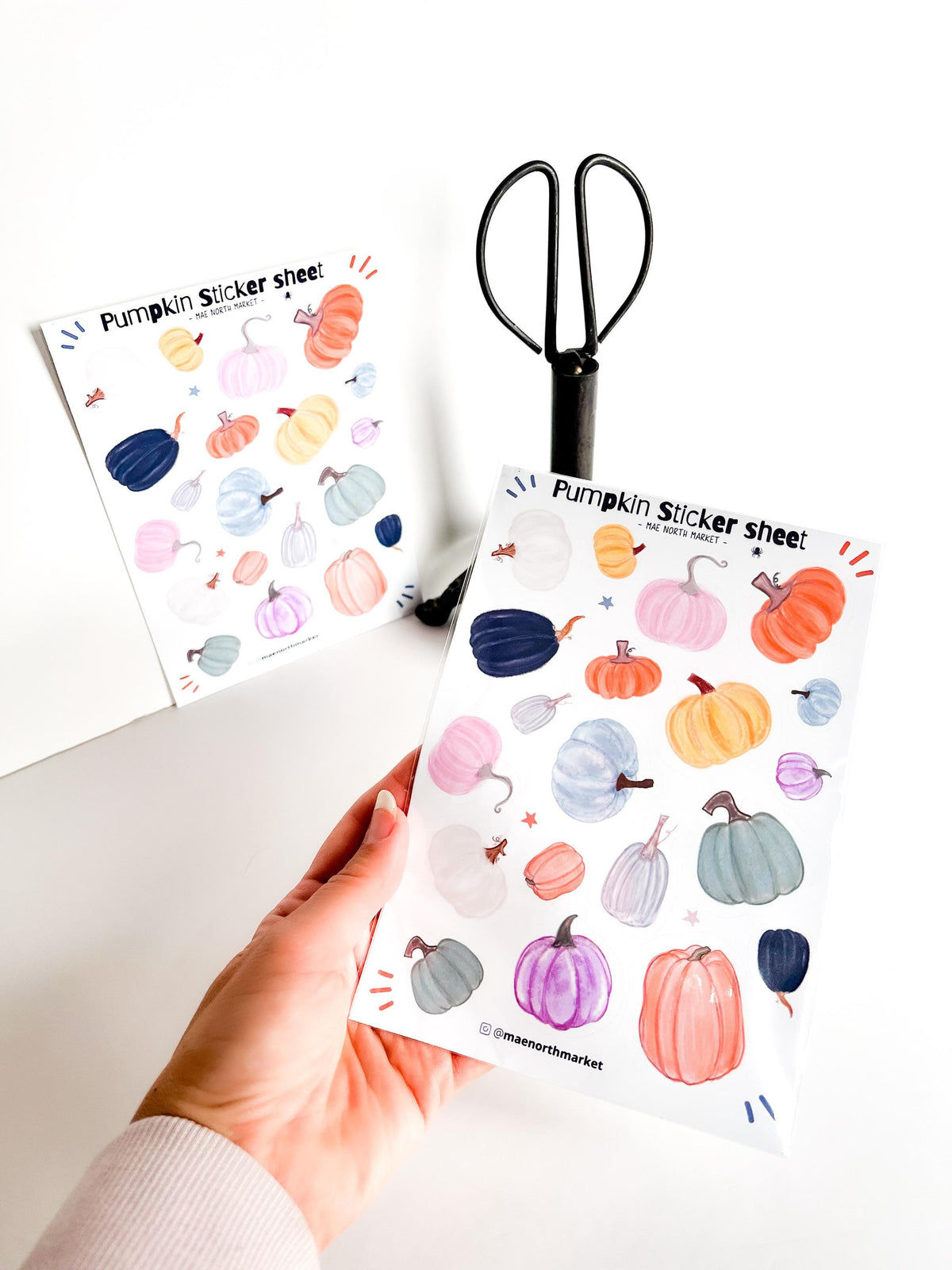 Fall Pumpkin Sticker Sheet: Vinyl Planner Stickers for kindle decor fall gifts fall asthetic pumpkin crafts for junk journal autumn stickers