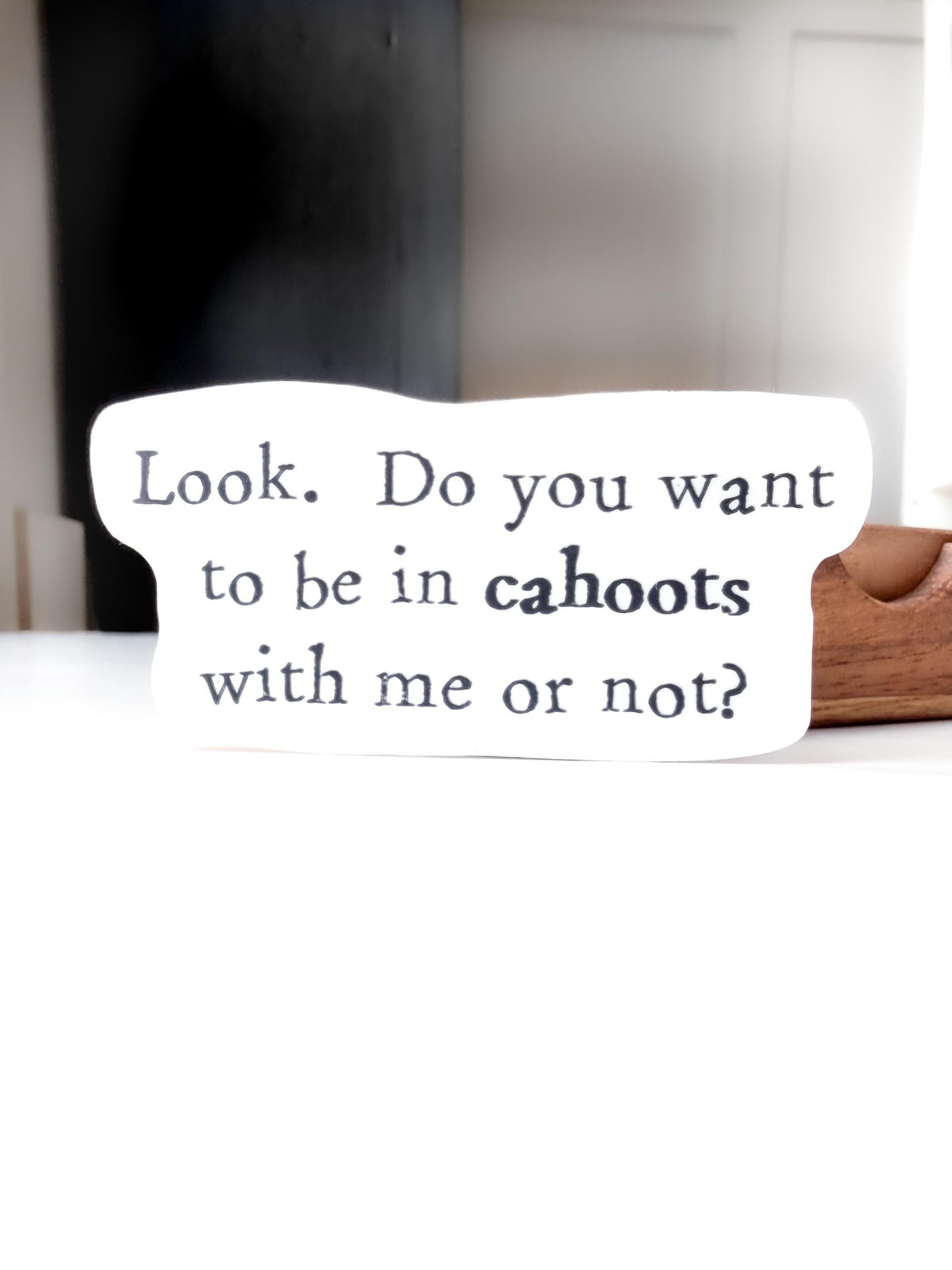 Cahoots Friend Sticker Funny – Quote bestfriend gift, waterbottle & laptop Vinyl Decal (1.75x3 Inch)