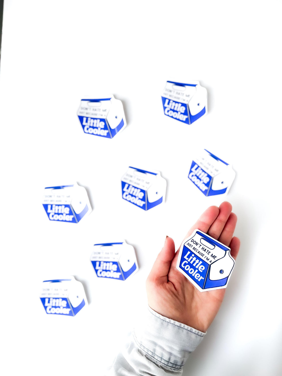 Little Cooler Funny Vinyl Sticker | Coworker Gift