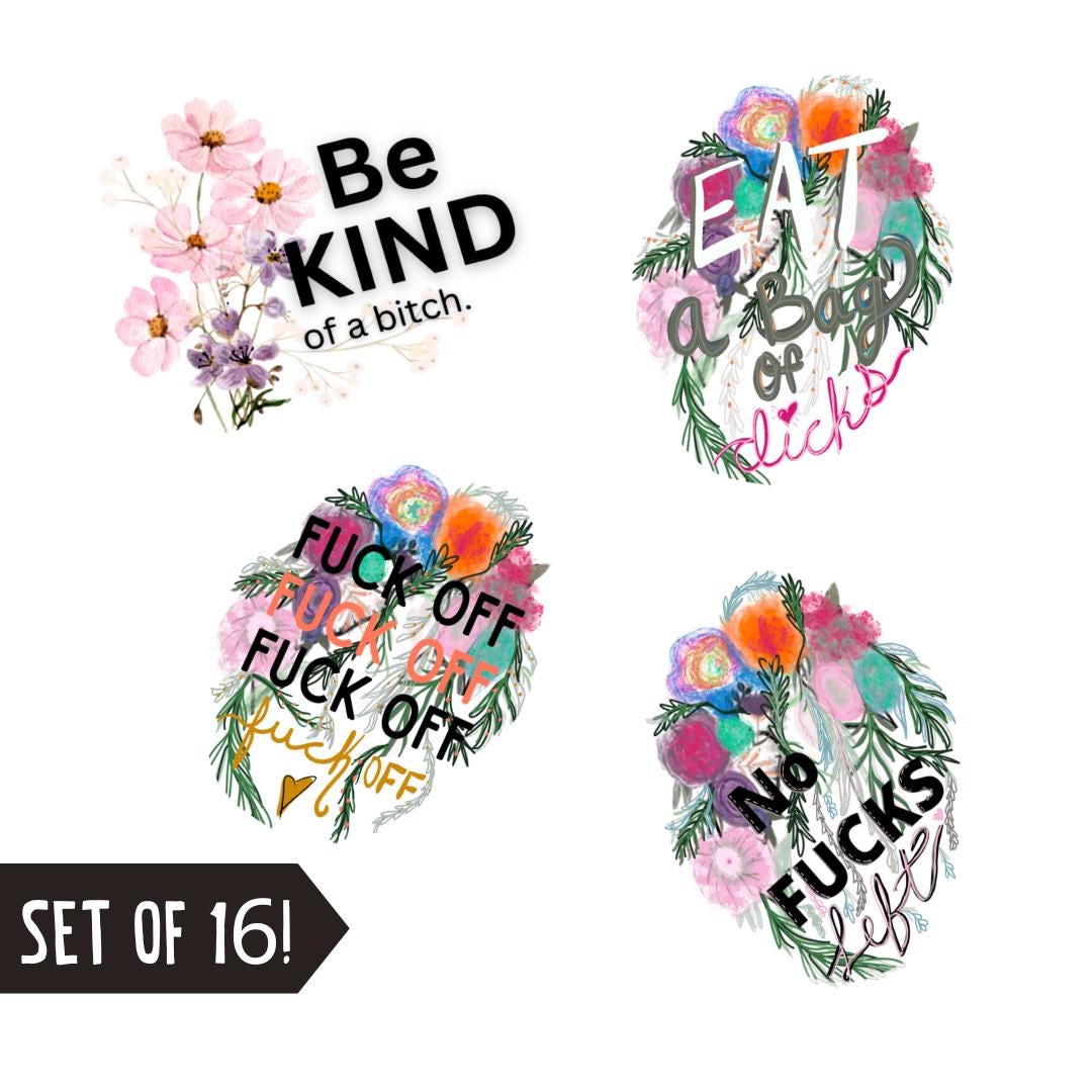 Swear Word Sticker Bundle Funny Adult Humor gift Waterproof Vinyl waterbottle sticker coworker gift funny sticker for friend f word (16 PCS)