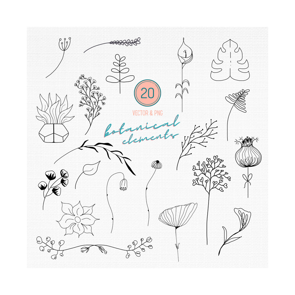Botanical SVG Bundle, Flower & Plant Vector Art (Digital Download)
