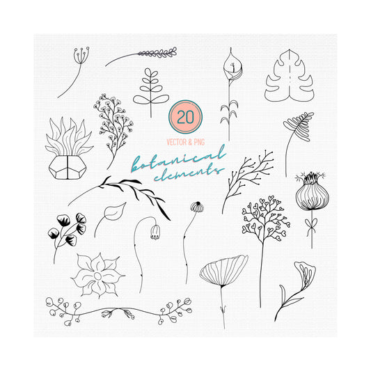 Botanical SVG Bundle, Flower & Plant Vector Art (Digital Download)