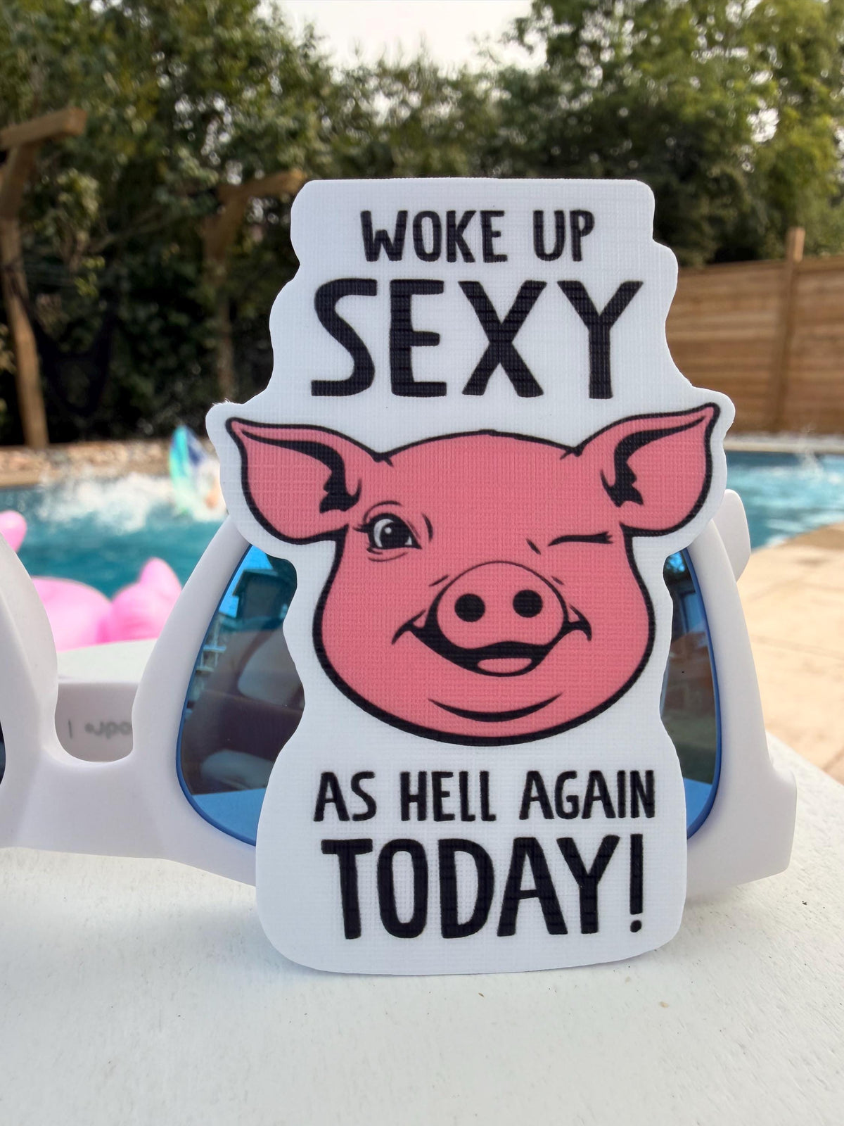 Funny Pig Sticker "Woke Up Sexy As Hell Again Today!" Waterproof Vinyl Sticker Pig pink Laptop Sticker Water Bottle stickers Linen top coat