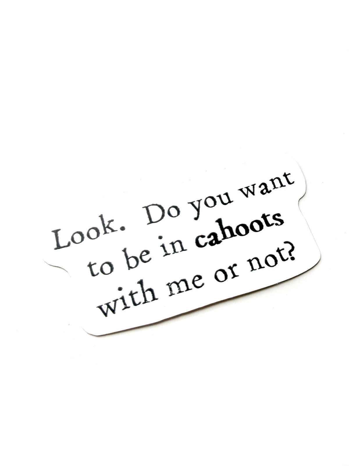 Cahoots Friend Sticker Funny – Quote bestfriend gift, waterbottle & laptop Vinyl Decal (1.75x3 Inch)
