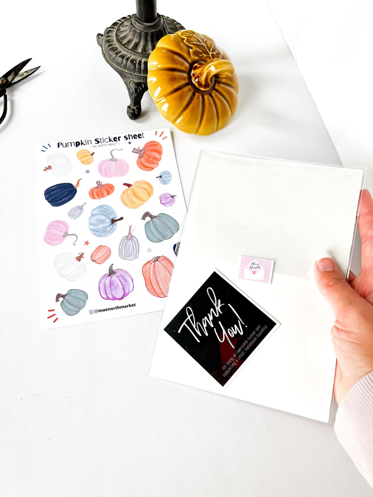 Fall Pumpkin Sticker Sheet: Vinyl Planner Stickers for kindle decor fall gifts fall asthetic pumpkin crafts for junk journal autumn stickers