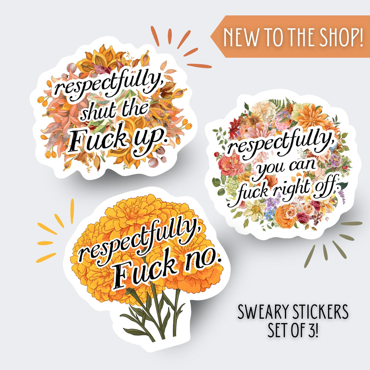 Funny stickers (3) sticker pack - swear word humour, best friend gift, retirement gift, handmade funny gift, vinyl stickers for him coworker
