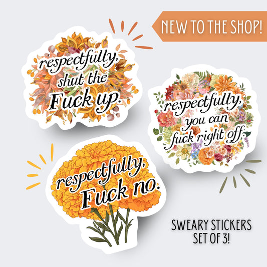 Funny stickers (3) sticker pack - swear word humour, best friend gift, retirement gift, handmade funny gift, vinyl stickers for him coworker