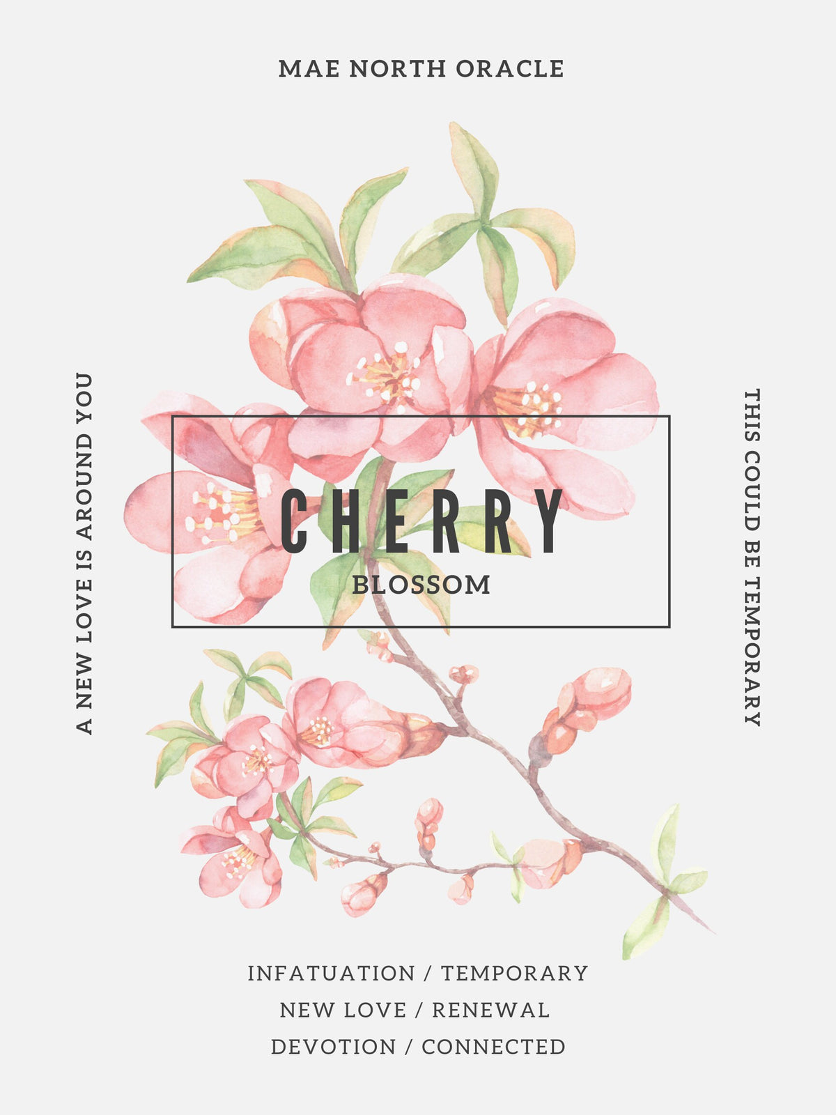 Botanical Oracle Cards – 36 Printable Affirmation Cards (Digital Download)