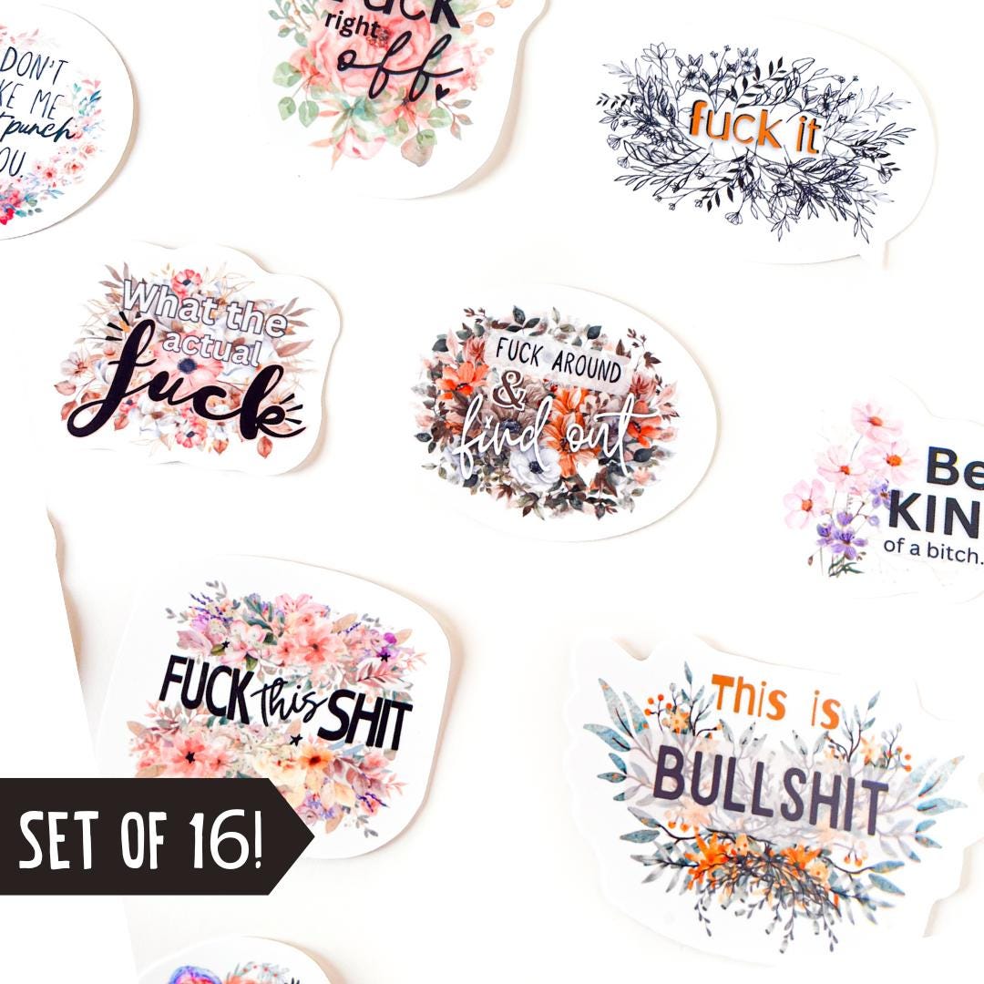 Swear Word Sticker Bundle Funny Adult Humor gift Waterproof Vinyl waterbottle sticker coworker gift funny sticker for friend f word (16 PCS)