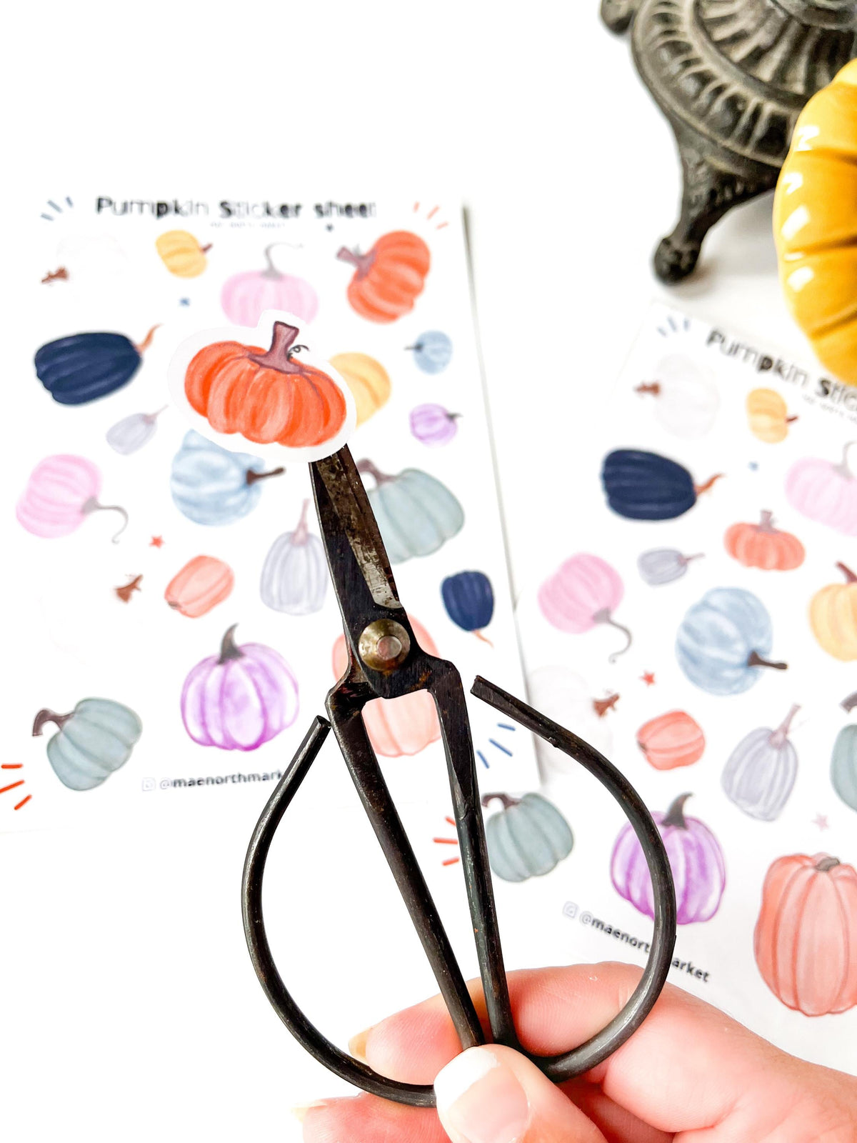 Fall Pumpkin Sticker Sheet: Vinyl Planner Stickers for kindle decor fall gifts fall asthetic pumpkin crafts for junk journal autumn stickers