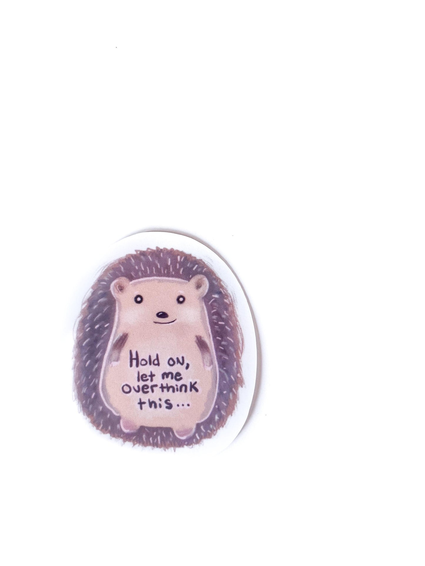 Hedgehog animal Sticker for friend Funny Quote for waterbottle accessory stickers waterproof decal cute animals overthinker quote stickers