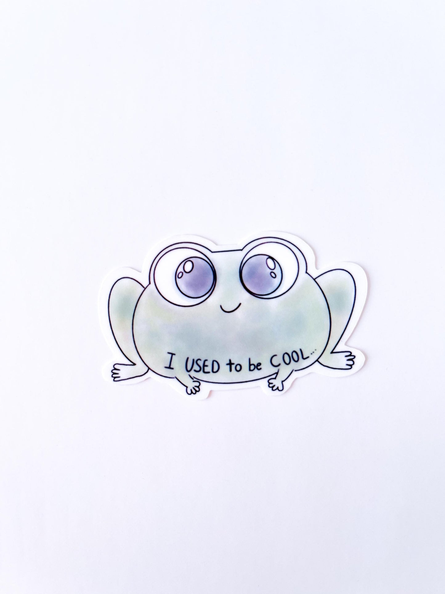 I used to be cool, Funny stickers for teachers , vinyl sticker, laptop sticker, waterbottle sticker, waterproof sticker, funny gift, frog