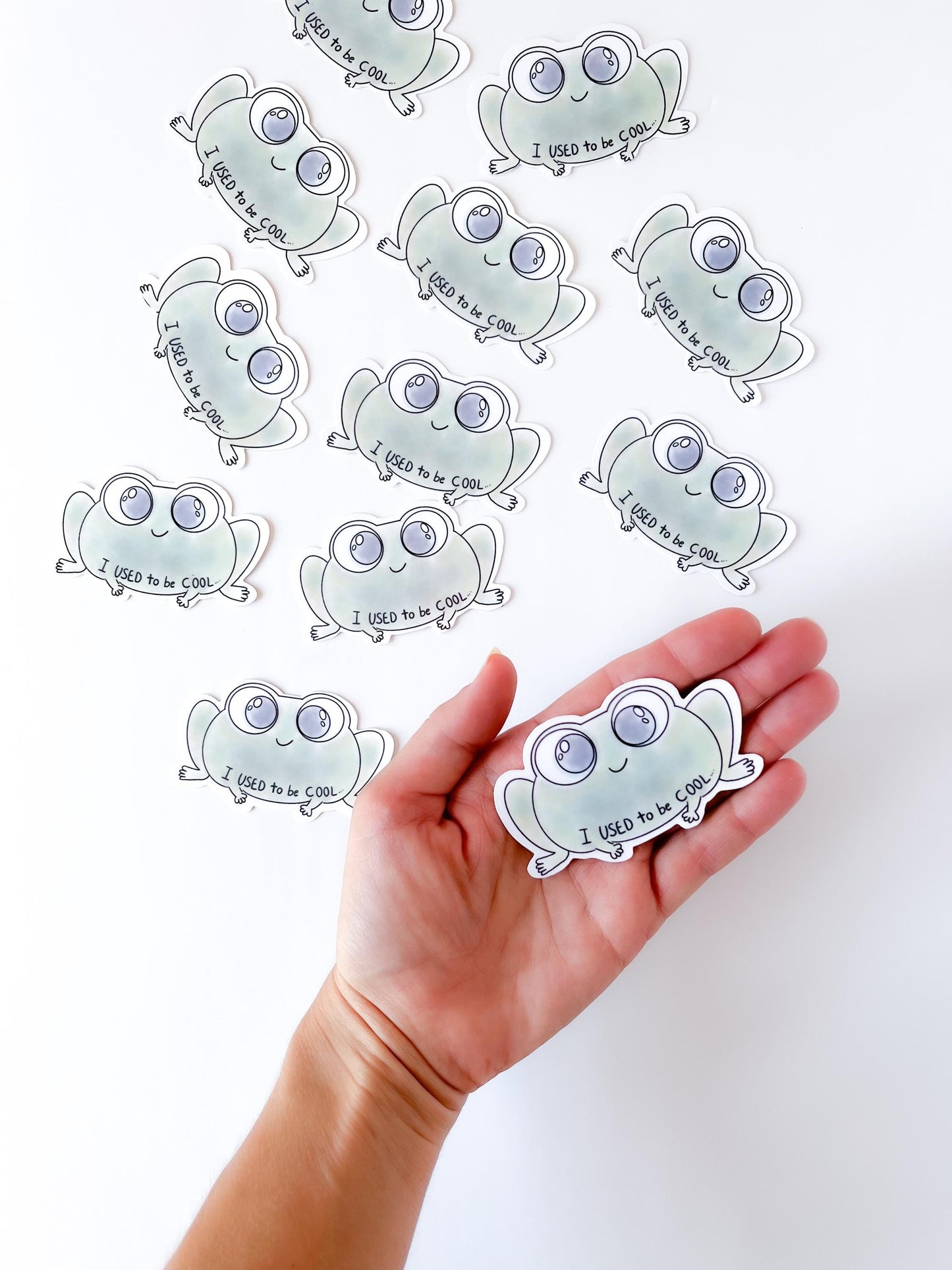 I used to be cool, Funny stickers for teachers , vinyl sticker, laptop sticker, waterbottle sticker, waterproof sticker, funny gift, frog