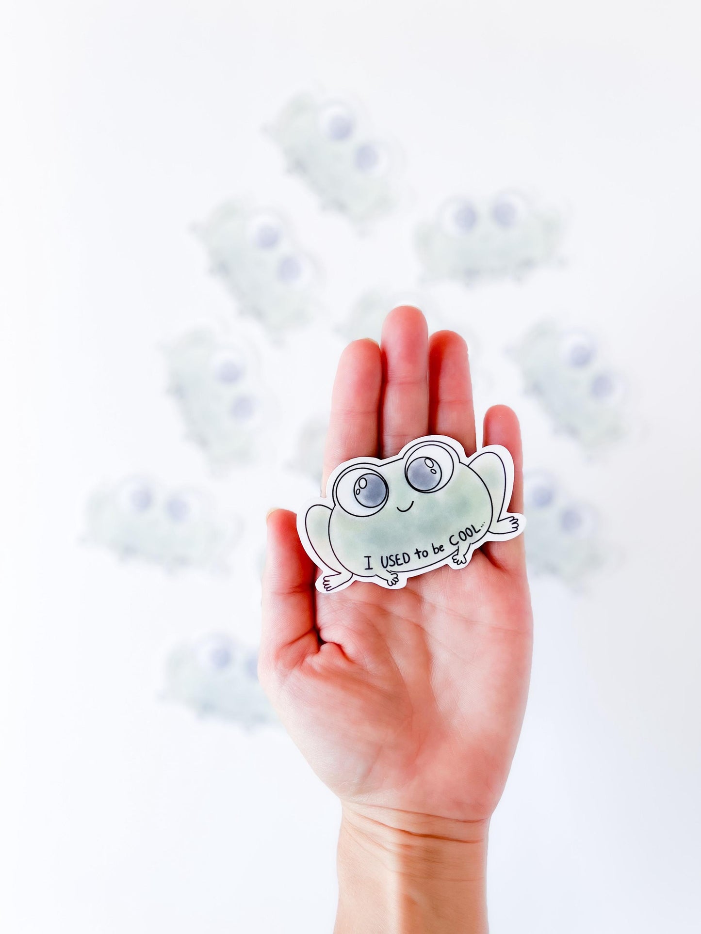 I used to be cool, Funny stickers for teachers , vinyl sticker, laptop sticker, waterbottle sticker, waterproof sticker, funny gift, frog