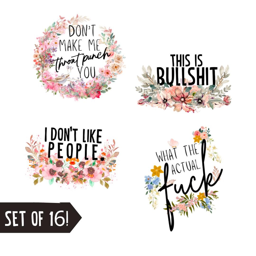Swear Word Sticker Bundle Funny Adult Humor gift Waterproof Vinyl waterbottle sticker coworker gift funny sticker for friend f word (16 PCS)