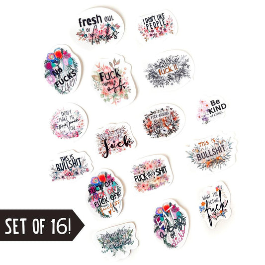 Swear Word Sticker Bundle Funny Adult Humor gift Waterproof Vinyl waterbottle sticker coworker gift funny sticker for friend f word (16 PCS)