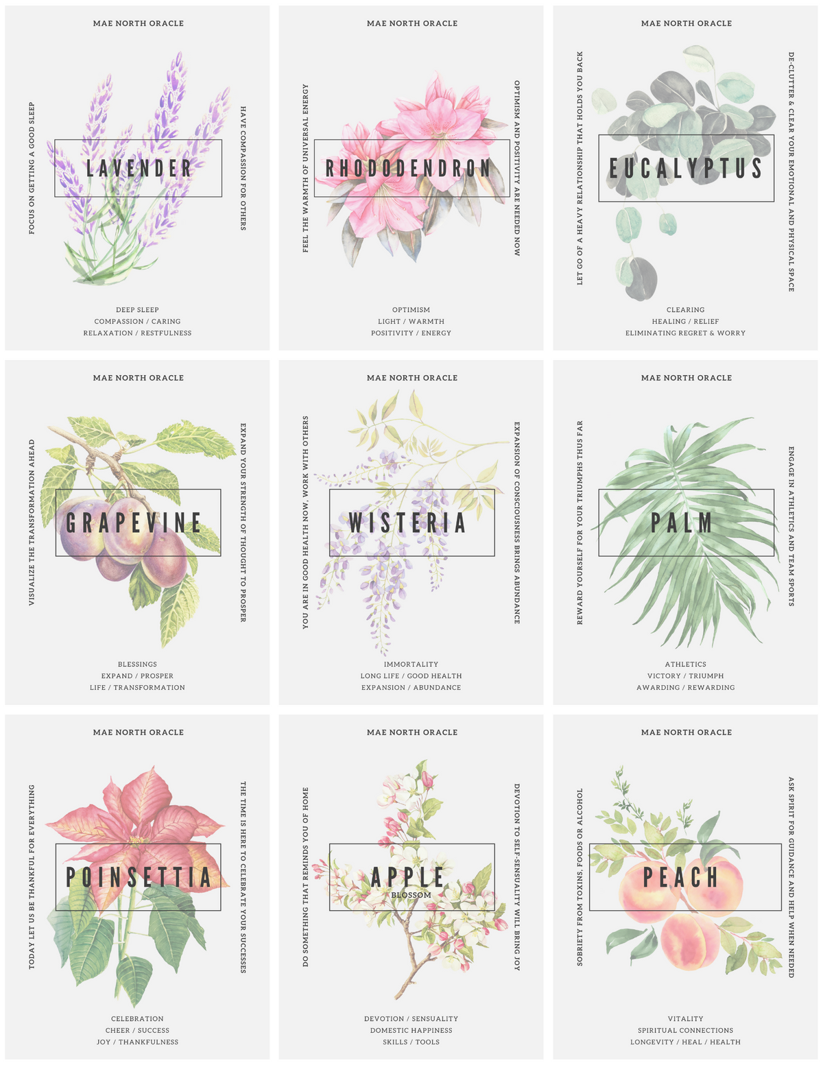 Botanical Printable Affirmation Cards | 36-Card PDF